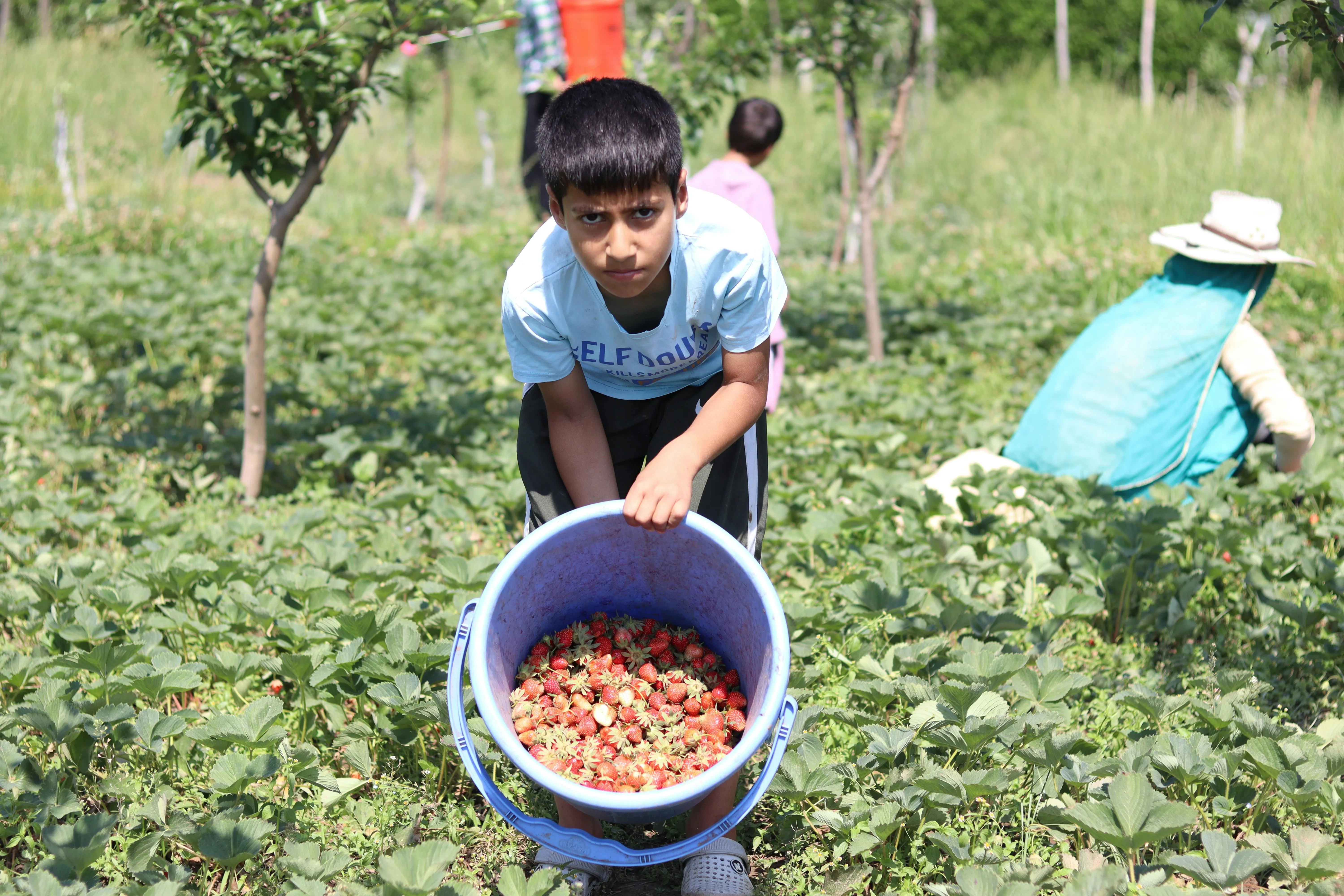 Dambulla Agri Farm