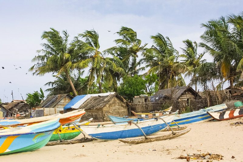 Negombo Fish Market