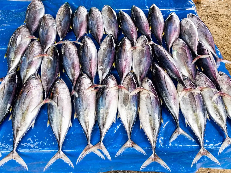 Negombo