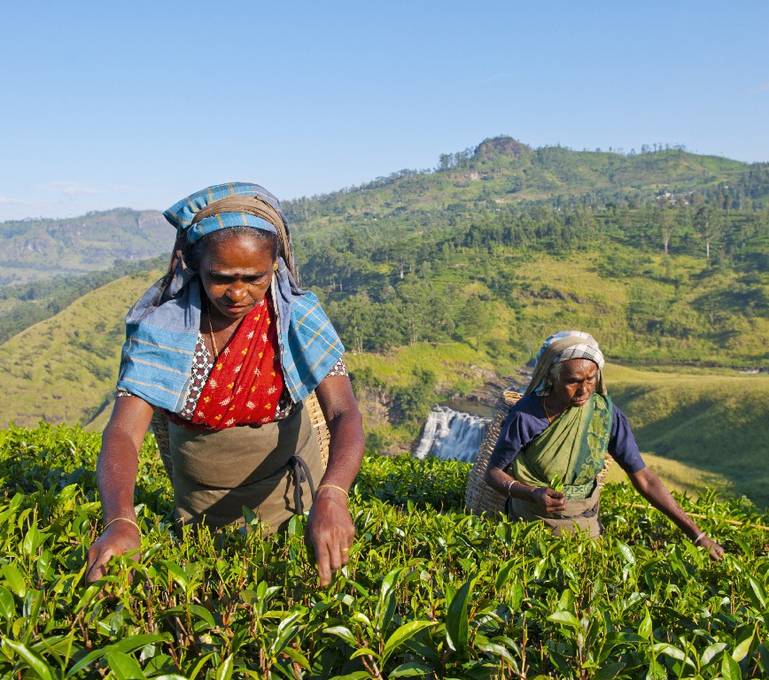Nuwara Eliya