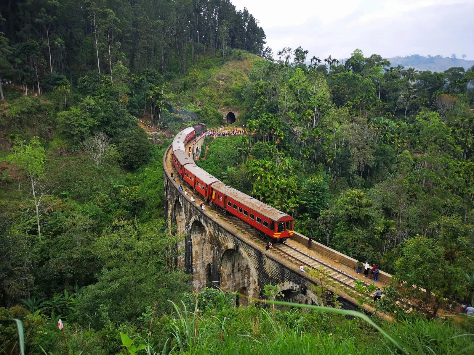 Special Nature Tour