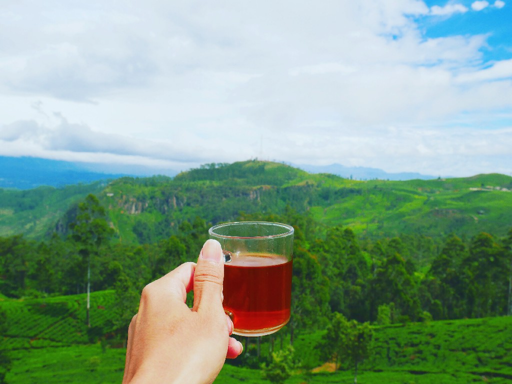 Industrial Tour